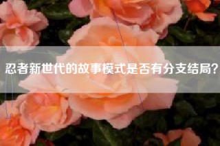 忍者新世代的故事模式是否有分支结局？