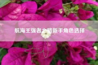 航海王强者之路新手角色选择