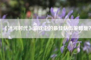 《冰河时代》游戏中的最佳队伍策略是？