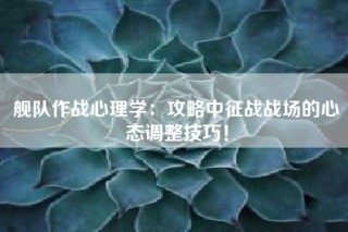 舰队作战心理学：攻略中征战战场的心态调整技巧！