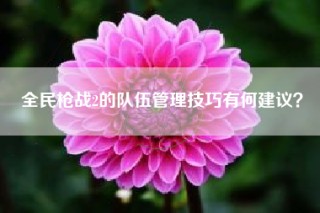 全民枪战2的队伍管理技巧有何建议？