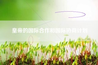 皇帝的国际合作和国际协商计划