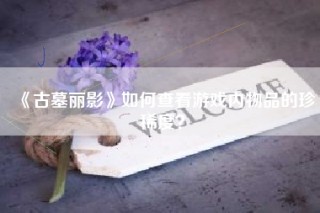 《古墓丽影》如何查看游戏内物品的珍稀度？