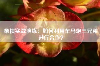 象棋实战演练：如何利用车马炮三兄弟进行合作？