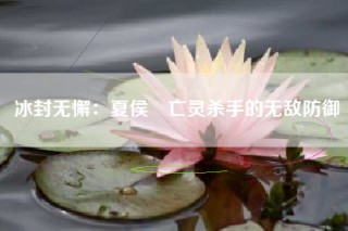 冰封无懈：夏侯惇亡灵杀手的无敌防御
