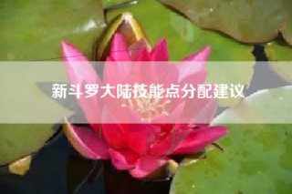 新斗罗大陆技能点分配建议