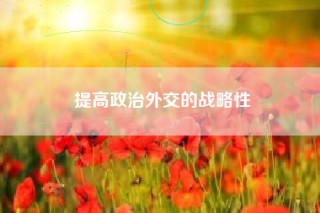 提高政治外交的战略性