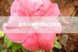 提高你的游戏玩法技能