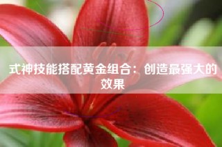 式神技能搭配黄金组合：创造最强大的效果