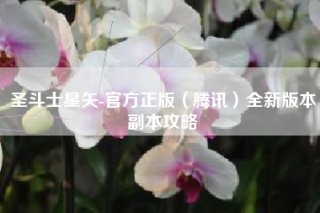 圣斗士星矢-官方正版（腾讯）全新版本副本攻略