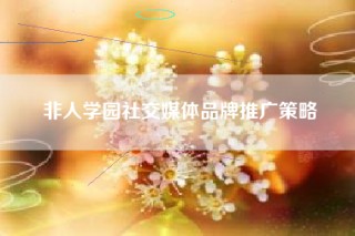 非人学园社交媒体品牌推广策略