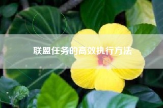 联盟任务的高效执行方法