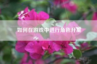 如何在游戏中进行角色升星