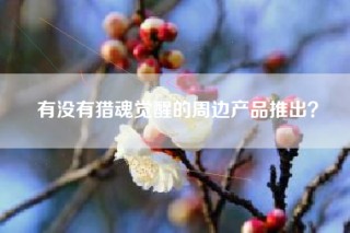 有没有猎魂觉醒的周边产品推出？