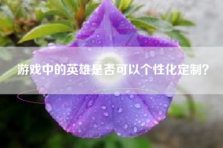 游戏中的英雄是否可以个性化定制？