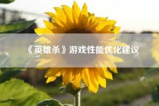 《英雄杀》游戏性能优化建议