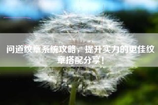 问道纹章系统攻略，提升实力的更佳纹章搭配分享！
