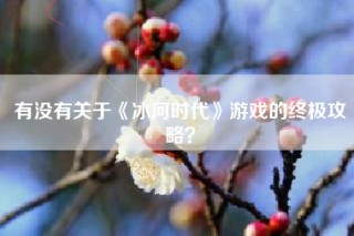 有没有关于《冰河时代》游戏的终极攻略？