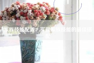 家族技能配置：实现家族技能的最佳搭配