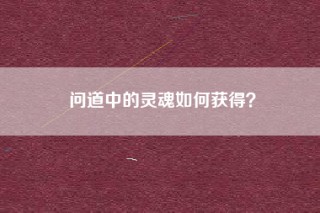 问道中的灵魂如何获得？