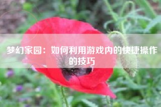 梦幻家园：如何利用游戏内的快捷操作的技巧