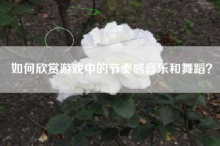 如何欣赏游戏中的节奏感音乐和舞蹈？