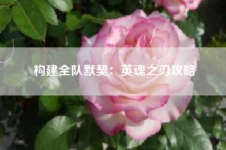 构建全队默契：英魂之刃攻略