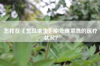 怎样在《荒岛求生》中处理紧急的医疗状况？