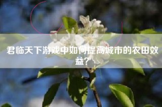 君临天下游戏中如何提高城市的农田效益？