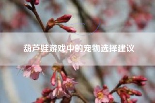 葫芦娃游戏中的宠物选择建议
