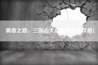 勇者之路，三国志大战巅峰竞技攻略！
