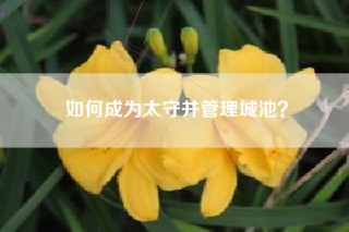 如何成为太守并管理城池？