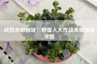 战胜未知领域：野蛮人大作战未知领域攻略