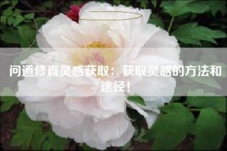 问道修真灵感获取：获取灵感的方法和途径！