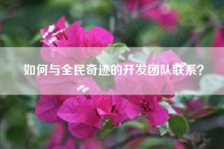 如何与全民奇迹的开发团队联系？