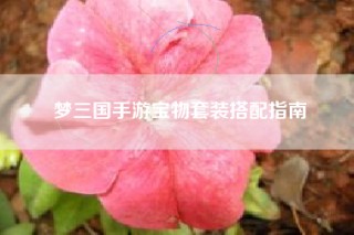 梦三国手游宝物套装搭配指南