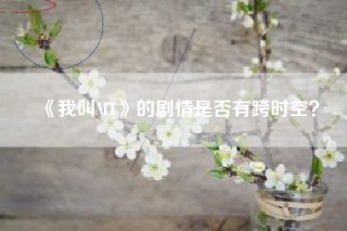《我叫MT》的剧情是否有跨时空？