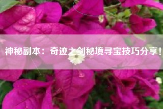 神秘副本：奇迹之剑秘境寻宝技巧分享！