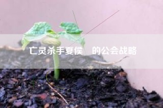 亡灵杀手夏侯惇的公会战略