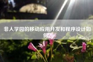 非人学园的移动应用开发和程序设计如何？