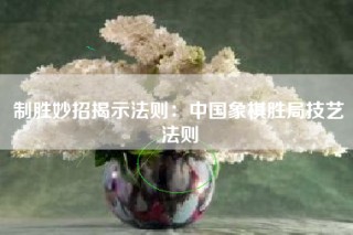 制胜妙招揭示法则：中国象棋胜局技艺法则