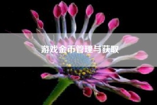 游戏金币管理与获取