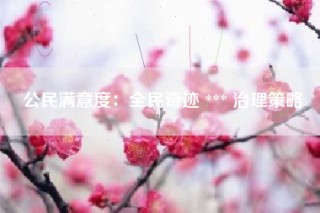 公民满意度：全民奇迹 *** 治理策略