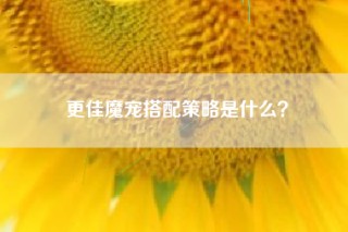 更佳魔宠搭配策略是什么？