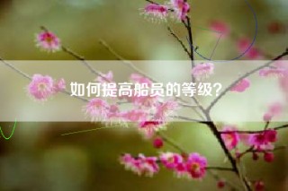 如何提高船员的等级？