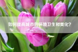 如何提高城市的环境卫生和美化？