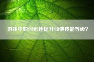 游戏中如何迅速提升仙侠技能等级？