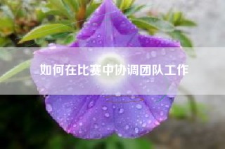 如何在比赛中协调团队工作