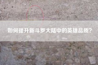 如何提升新斗罗大陆中的英雄品质？