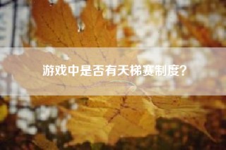 游戏中是否有天梯赛制度？